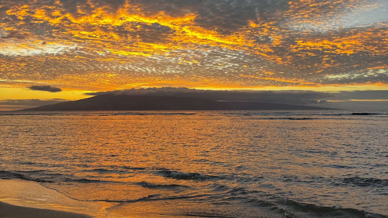 Snorkeling, turtles and beach time @ Baby Beach in Lahaina, Maui (Maui Trip 2025 Day 3b)
