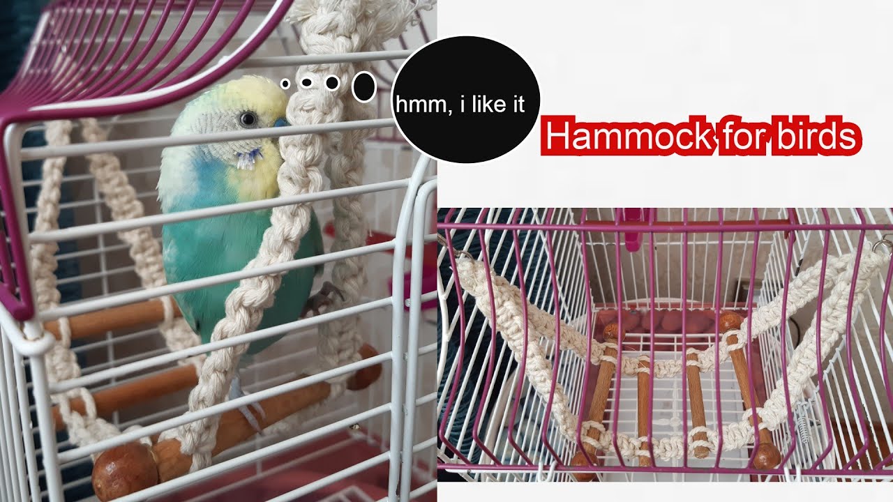 Hammock for birds | How to decorate the birdcage with macrame