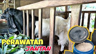 RIGHT FEED, RIGHT GOAT CARE