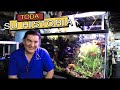 EL REPRODUCTOR DE PECES DISCO MAS FAMOSO DEL MUNDO||||||🐠🐠