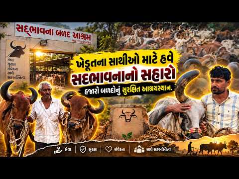 ખેડૂતના સાથીઓ માટે હવે સદભાવનાનો સહારો - હજારો બળદોનું સુરક્ષિત આશ્રયસ્થાન l Karuna Talks