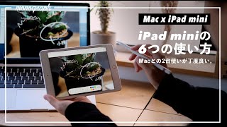 【大満足】Macとペアで真価を発揮！僕のiPad miniの6つの使い道