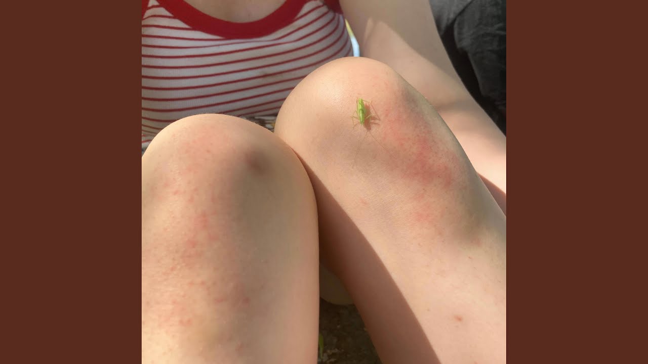 Watch 8ball on YouTube Watch 8ball on YouTube