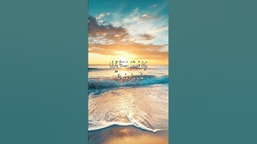 سورة النساء الآية (78)