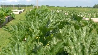 Ozarks Food Harvest reveals new garden project