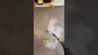 Why Hot Water Extraction Is The Best Carpet Cleaning Method
