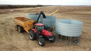WALTERS CANOLA HARVEST 2018