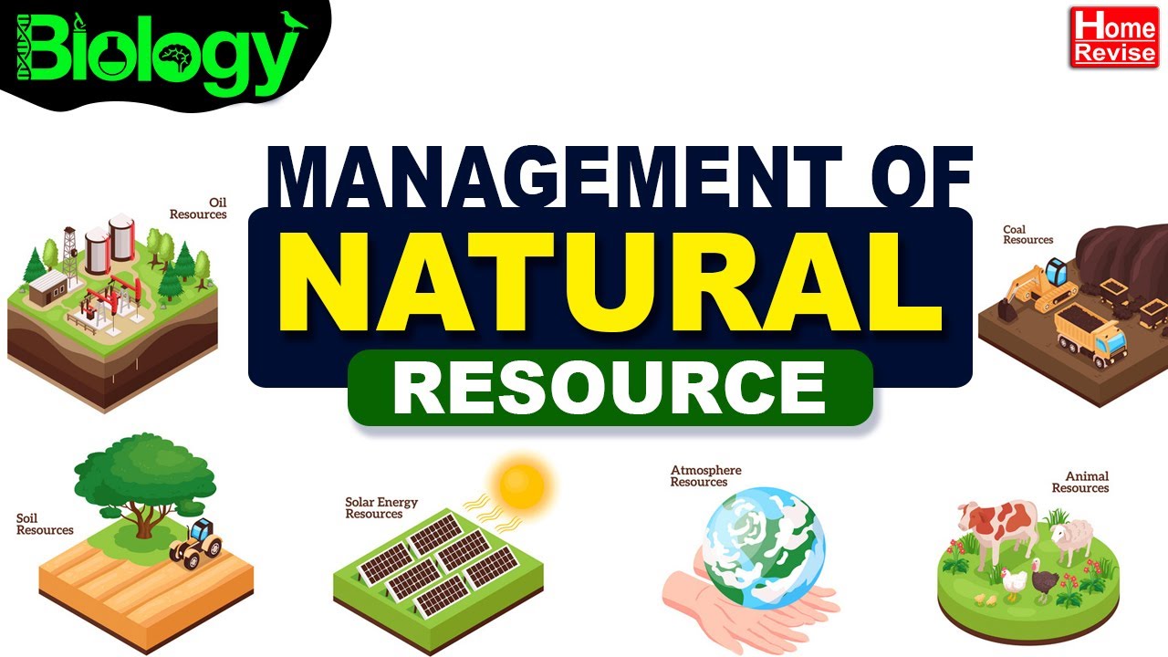 assignment on management of natural resources