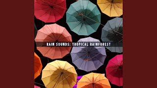Rainy Phases Interlude