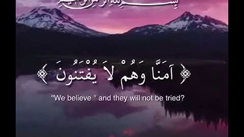 ما تيسر من بداية سورة العنكبوت | الشيخ أحمد حمادي حفظه الله 🌷