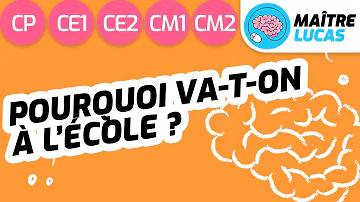 Quelle est l'importance de l'école ?