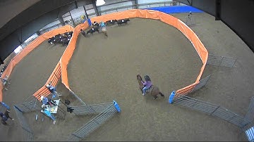 Big Sky Ranch Sorting Saddle Series #2 - #10 H/C - Round #1 - Ride #30