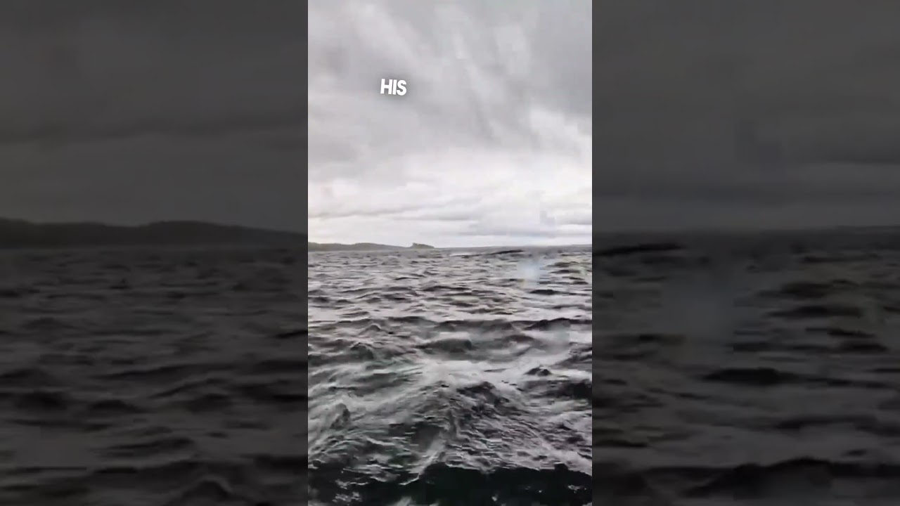 Этого человека проглотил кит 😱