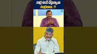బుర్ర ఉండి చేస్తున్నావా చంద్రబాబు  ! #chandrababu #proframachandraiah #ytshorts #trending #sakshitv Net Worth