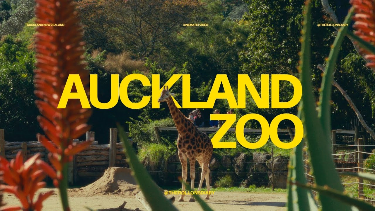 Auckland Zoo 4K Cinematic | Family Day Out