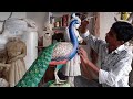 peacock statue painting step by step | painting for beginners | creative art | ayan haldar