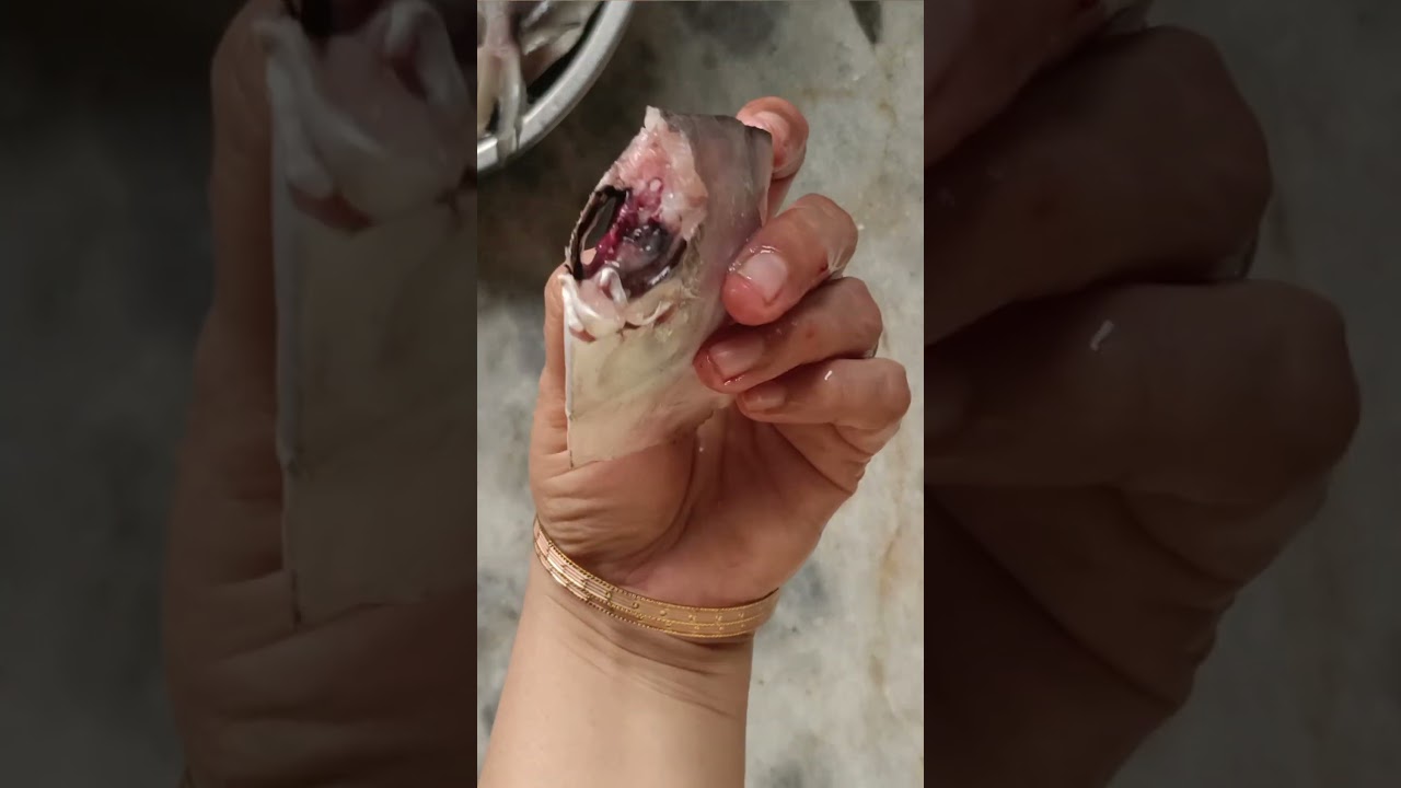 How to clean paplet fish 