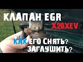 Клапан EGR на X20XEV, как его снять? Как его физически заглушить?[#Вне сюжета 10.09.2020 OMEGA LIVE]