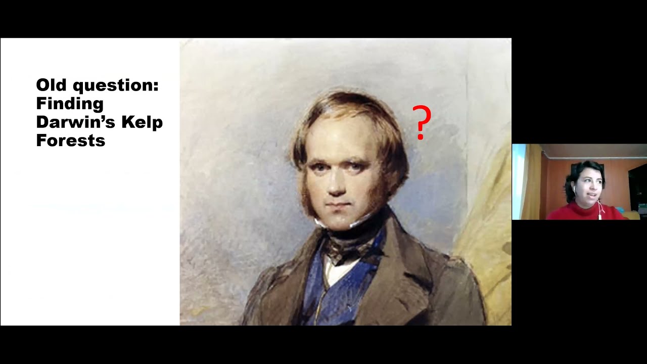 Alejandra Mora-Soto - Biogeography of sub-Antarctic giant kelp - ECR Week 2021