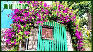 Cuộc sống Đà Lạt
