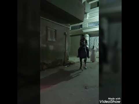 ياجرح فى ضهر الفرس
