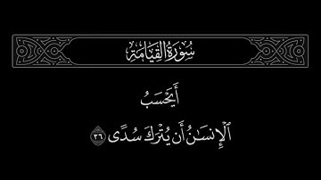 سورة القيامة الآية 36