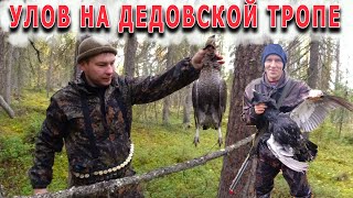 видео: В тайгу на неделю с Коляном. День7. Проверяем петли, радуемся добыче. картинка: В тайгу на неделю с Коляном. День7. Проверяем петли, радуемся добыче.