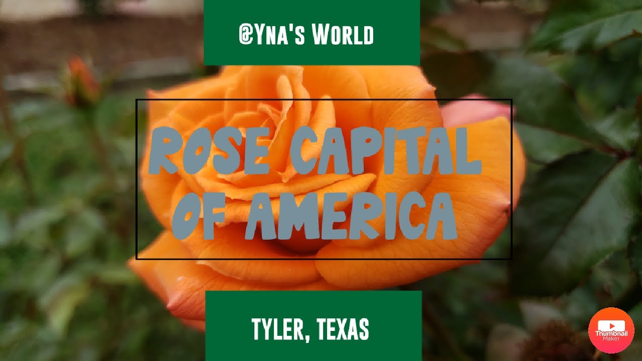 ROSE CAPITAL OF AMERICA, TYLER ROSE GARDEN, TEXAS YouTube