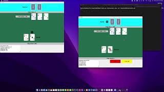 Texas Hold-Em Poker Demonstration screenshot 5