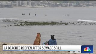 Some LA County beaches still closed after sewage spill by NBCLA 170 views 2 hours ago 2 minutes, 23 seconds