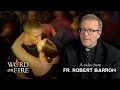 The Hookup Culture - Thoughts by Fr. Barron