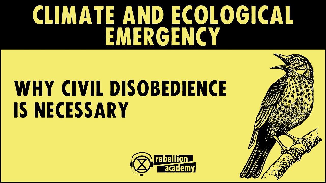 Climate and Ecological Emergency - Why civil disobedience is necessary