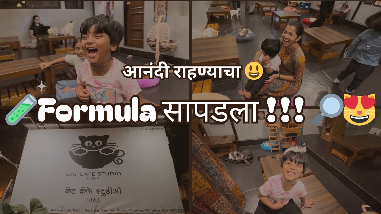 हसा आणि हसवा 😄 | India's First Cat Cafe Studio 🐱❤️ | Paradise for Cat Lovers 😻
