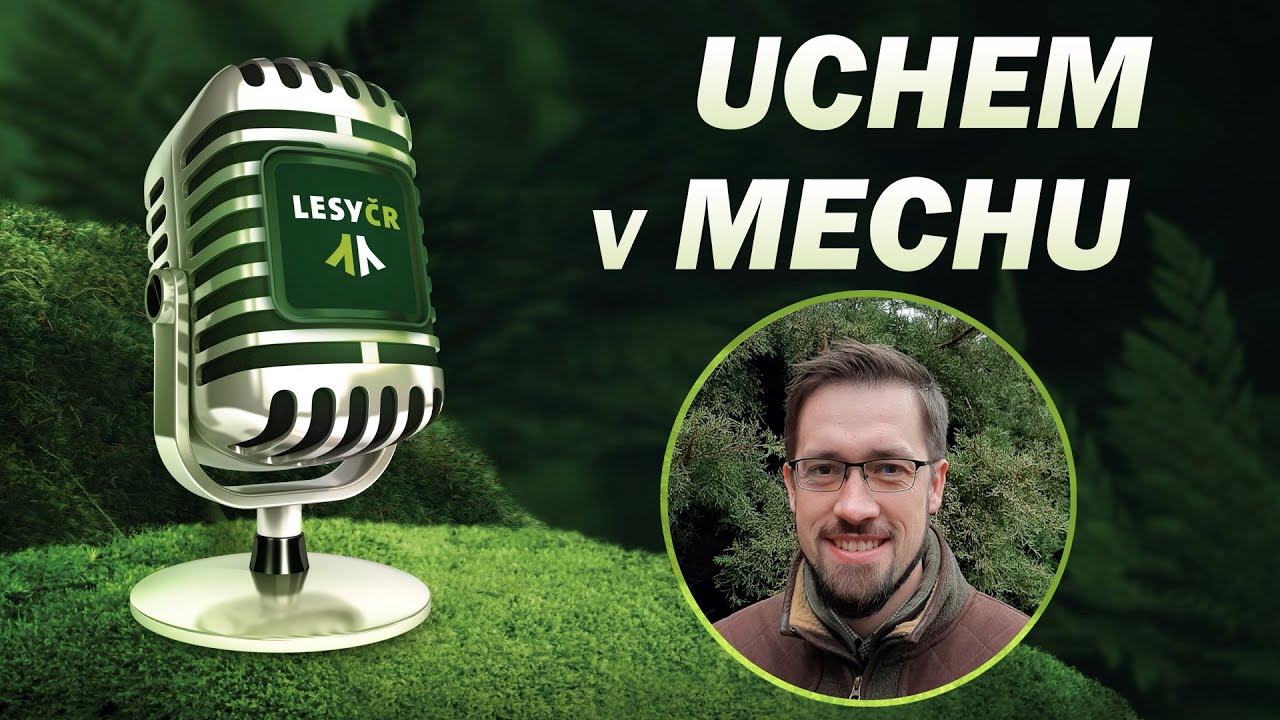 Podcast UCHEM V MECHU s Petrem Smutným o myslivosti a ochraně lesa