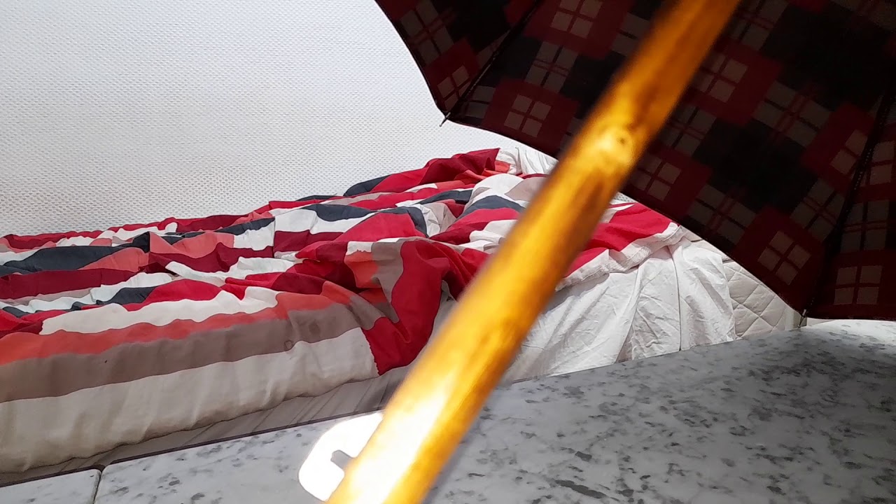 Parapluie Pasotti Ombrelli Corne d'Oryx / Pasotti Ombrelli umbrella in oryx horn