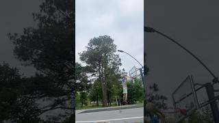 How how can I dunk? #basketball #hoops #nba #dunk