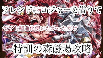 特訓の森磁場 Youtube