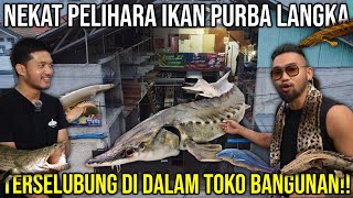 NEKAT PELIHARA IKAN PURBA LANGKA TERSELUBUNG DI DALAM TOKO BANGUNAN!! SAMAK AQUATIC #KINGOFTHEJUNGLE