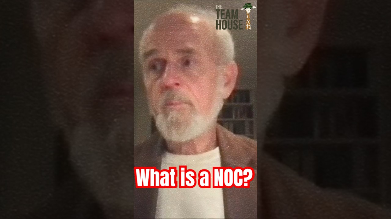 What is a “Non Official Cover” Officer? (NOC) 