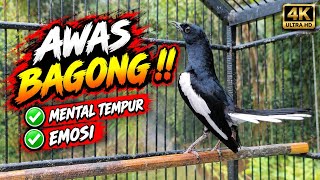 KACER GACOR KONSLET FULL ISIAN TEMBAKAN KASAR AMPUH MERANGSANG EMOSI KACER LAIN CEPAT PANAS EMOSI