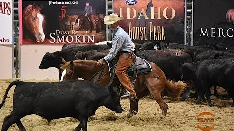 2015 Idaho Futurity Reserve Champion Gracious Halr...