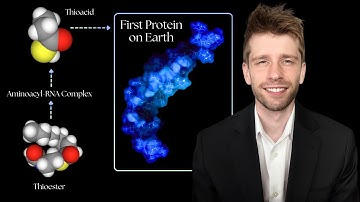 Scientists Reconstruct part of the Origin of Life & the First Proteins on Earth 