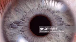 BODY CODE the Documentary