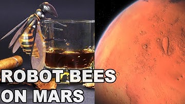 [1 Min Tech #1] Robot Bees On Mars!!!