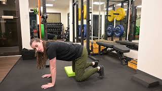 Quadruped Hip Shift ISO Hold