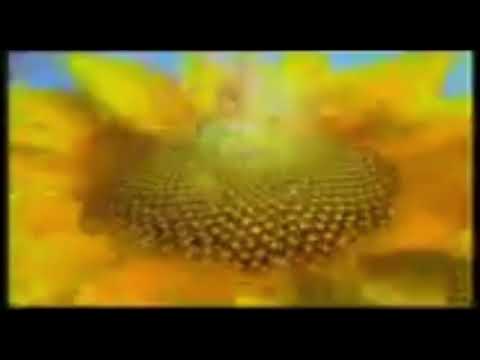 Potongan OBB Was-Was SCTV (2004-2005)