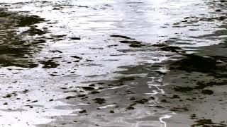 Yan Cook - Graphite (Original Mix)