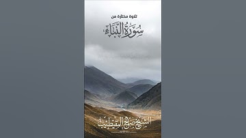 تلاوة مختارة من سورة النبأ
