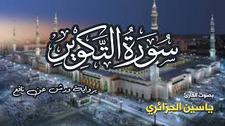 تلاوة مرتبة لسورة التكوير كاملة بصوت القارئ ياسين الجزائري - Surah At-Takwir Yassin Al-Jazairi