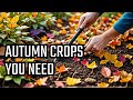 14 Crops Sow Every September You Must Sow These Seeds In Early Autumn 14 Crops Sow Every September You Must Sow These Seeds In Early Autumn